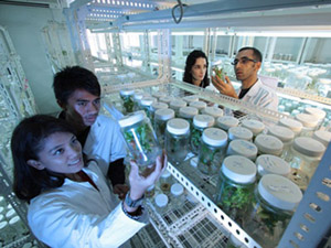 Science Laboratory 网页攻击器教程